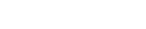 ARAE Consulting
